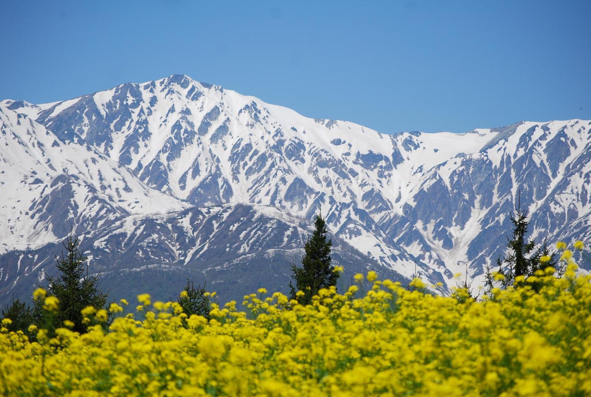Hakuba Highland Hotel Экстерьер фото
